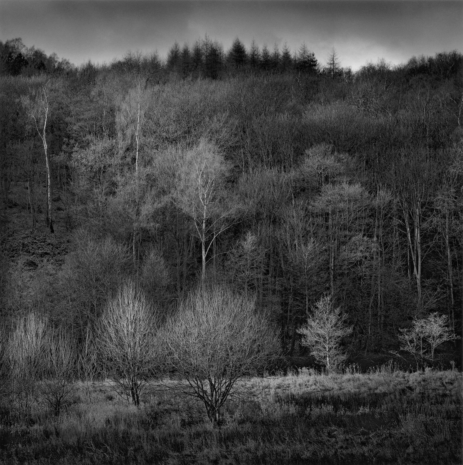 Truncated photobook by Paul Hart — PAUL HART